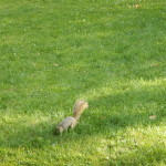DSCN0049