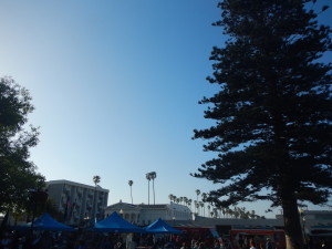 DSCN0304