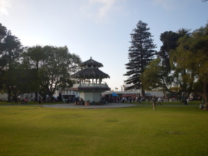DSCN0360