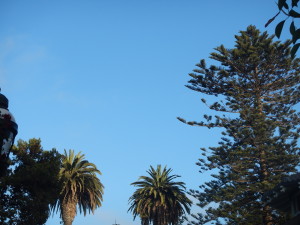 DSCN0376