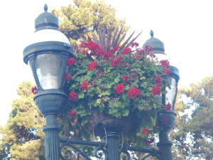 DSCN0377